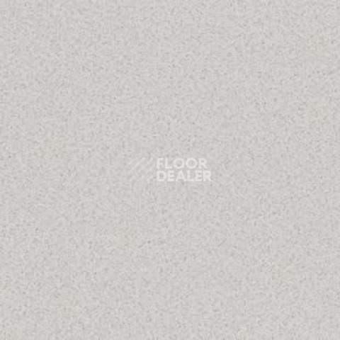 Линолеум Tarkett Travertine Pro PRO_GREY 05 фото 1 | FLOORDEALER